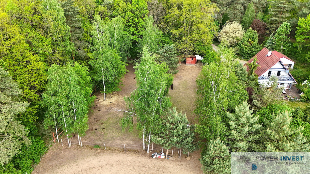 Działka Sprzedaż Dąbcze 5