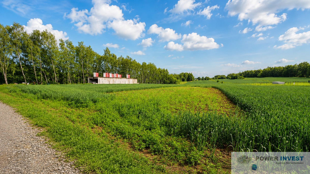 Działka Sprzedaż Bodzanów 1